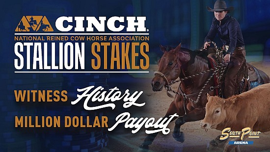 2025 Stallion Stakes