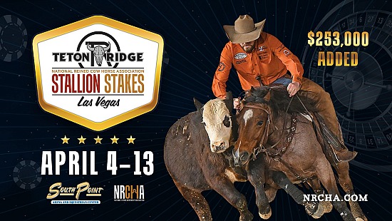 2024 Stallion Stakes