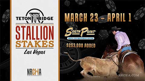 2023 Stallion Stakes