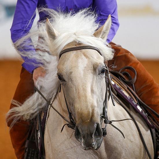 All Image Package Order Form