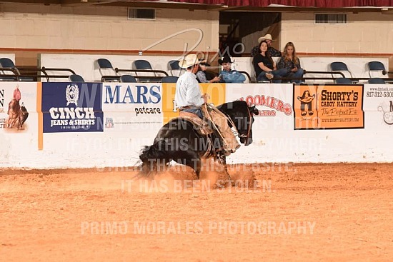 2020 SNAFFLE BIT FUTURITY